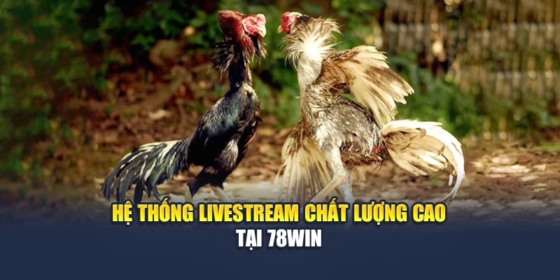 Cá Cược Đá Gà Trực Tuyến – Đam Mê Không Giới Hạn Tại 78WIN 7 Hệ thống livestream chất lượng cao tại 78WIN