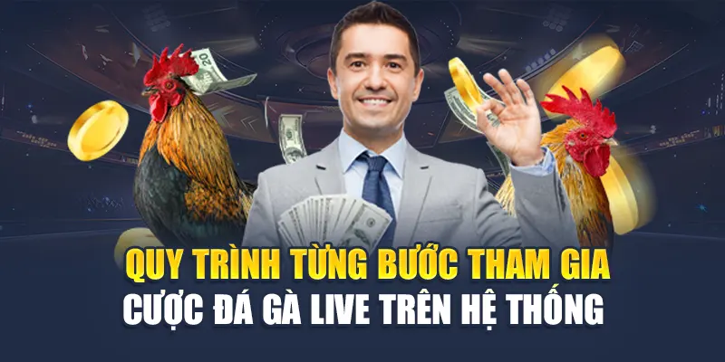 Quy trình từng bước tham gia cược đá gà live trên hệ thống